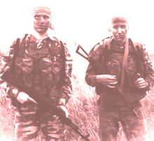 Load image into Gallery viewer, I Love Dividends T-Shirt