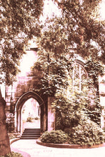 Load image into Gallery viewer, M23 Khaki Hoodie