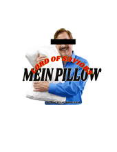 Load image into Gallery viewer, Mein Pillow